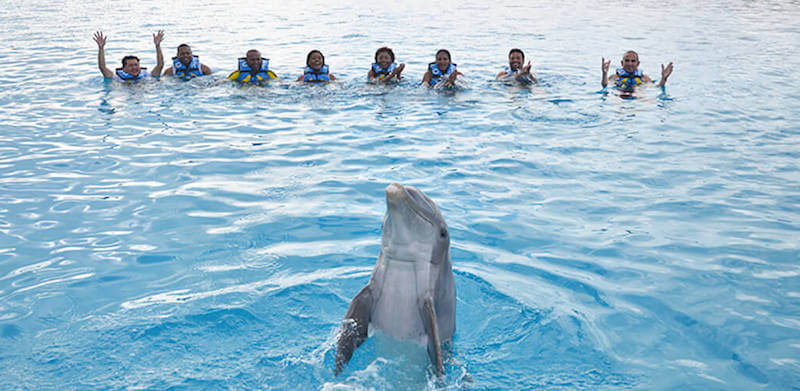 Atracción nado con delfines en el Parque Chankanaab Beach Adventure Park en Cancún 