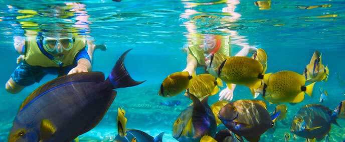 Atracción buceo en el Parque Chankanaab Beach Adventure Park en Cancún