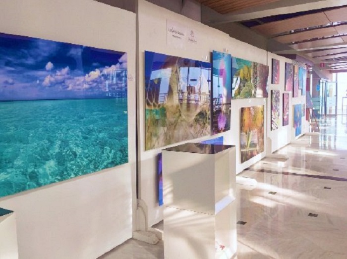 Galería Balance Cancún: Visita